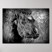 Mini Filly ist Onery Poster (Vorne)