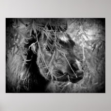 Mini Filly ist Onery