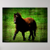 Mini Filly Poster (Vorne)