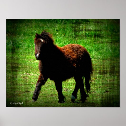 Mini Filly Poster (Vorne)