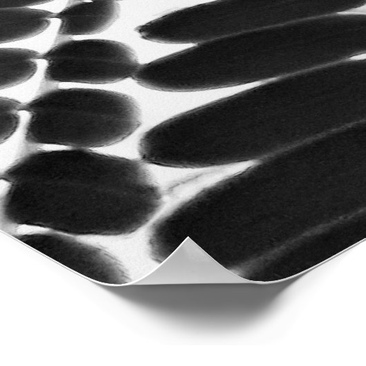 mini folhas - P&B Poster (Ecke)