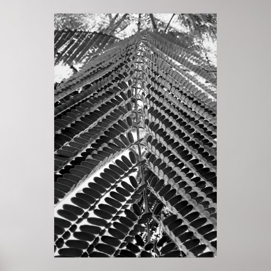 mini folhas - P&B Poster (Vorne)