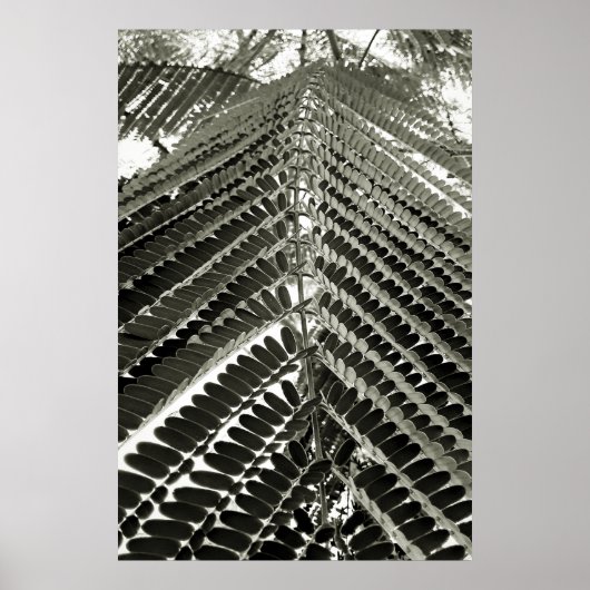 mini folhas poster (Vorne)