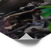 Mini Forest Poster (Ecke)