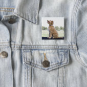 Mini Golden Doodle Button (Beispiel)