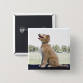 Mini Golden Doodle Button (Vorne & Hinten)