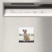 Mini Golden Doodle Magnet (In Situ (Geschirrspüler))