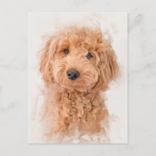 Mini Goldendoodle Dog Portrait Postkarte