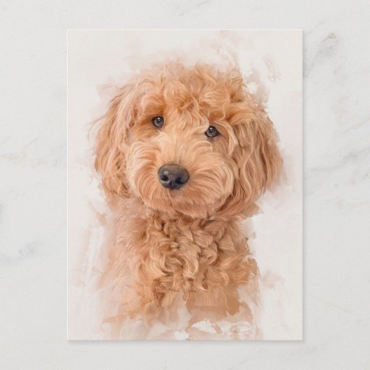 Mini Goldendoodle Dog Portrait Postkarte (Vorderseite)