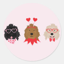 Mini Goldendoodle Dogs Valentinstag
