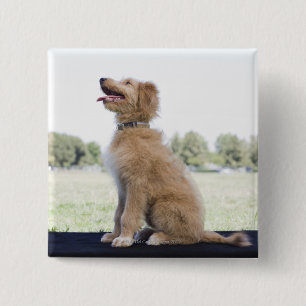 Mini goldenes Gekritzel Button