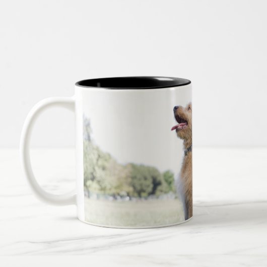 Mini goldenes Gekritzel Zweifarbige Tasse (Links)