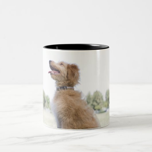 Mini goldenes Gekritzel Zweifarbige Tasse (Mittel)