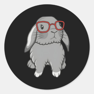 Mini Holland Lop Bunny Rabbit Oaster Runder Aufkleber