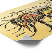 Mini Honey Bee Poster (Ecke)