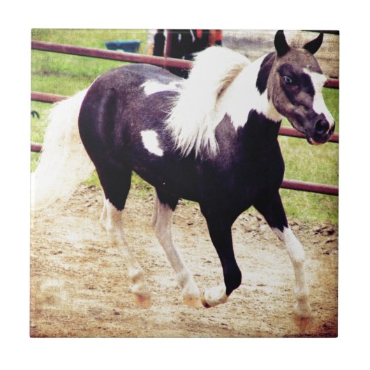 Mini Horse bei Liberty Fliese (Vorderseite)