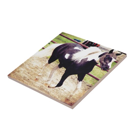 Mini Horse bei Liberty Fliese (Seite)