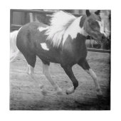 Mini Horse Gallops Fliese (Vorderseite)