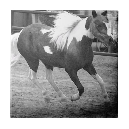 Mini Horse Gallops Fliese (Vorderseite)