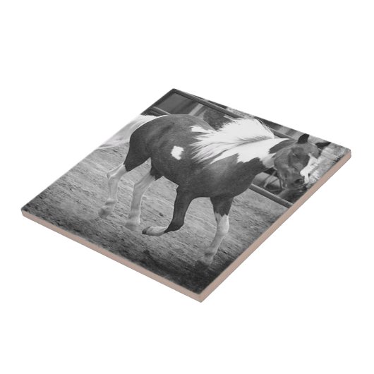 Mini Horse Gallops Fliese (Seite)