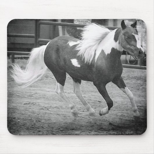 Mini Horse Gallops Mousepad (Vorne)
