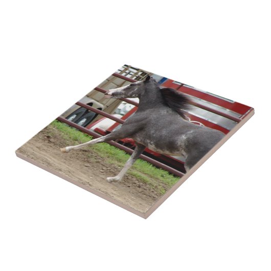 Mini Horse in Liberty Class Fliese (Seite)