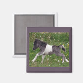 Mini Horse Magnet (Vorderseite/Rückseite)