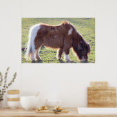 Mini Horse Poster (Küche)