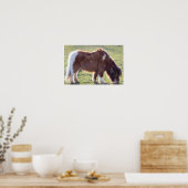 Mini Horse Poster (Küche)