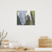 Mini Horse Poster (Küche)