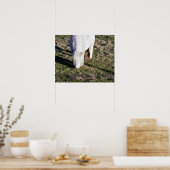 Mini Horse Poster (Küche)