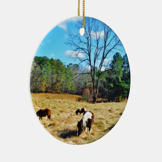 Mini Horses Keramikornament (Rechts)