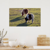 Mini Horses Poster (Küche)