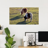 Mini Horses Poster (Heimbüro)