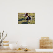 Mini Horses Poster (Küche)