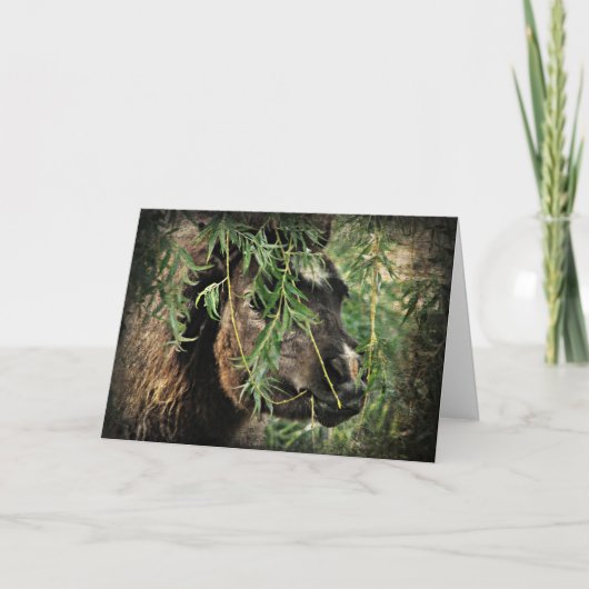 Mini ist Onery, Geburtstag Karte (Vorderseite)