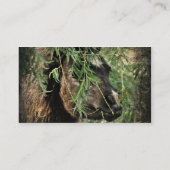 Mini ist Onery Visitenkarte (Rückseite)