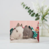 Mini-Kaninchen Postkarte (Stehend Vorderseite)
