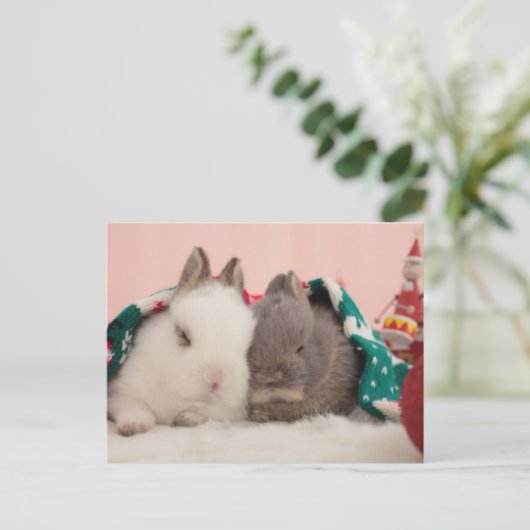Mini-Kaninchen Postkarte (Stehend Vorderseite)