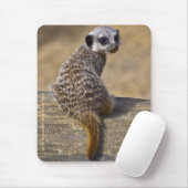 Mini Kat Mousemat Mousepad (Mit Mouse)