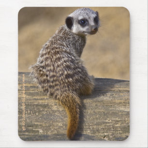 Mini Kat Mousemat Mousepad