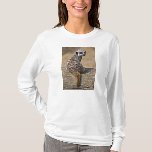 Mini Kat T-Shirt (Vorderseite)