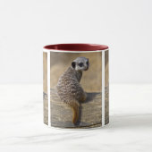 Mini Kat Tasse (Zentrum)