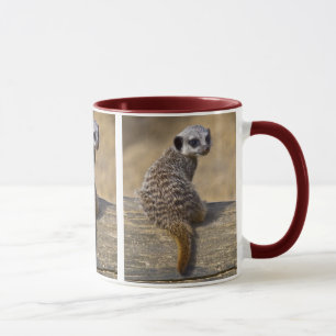 Mini-Katze-Tasse Tasse