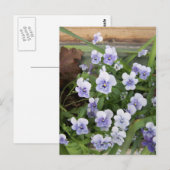 Mini Lila Veilchen Blumen Florale Postkarte (Vorne/Hinten)