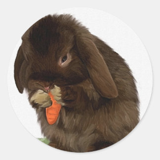Mini Lop Hasen und Karotten Runder Aufkleber