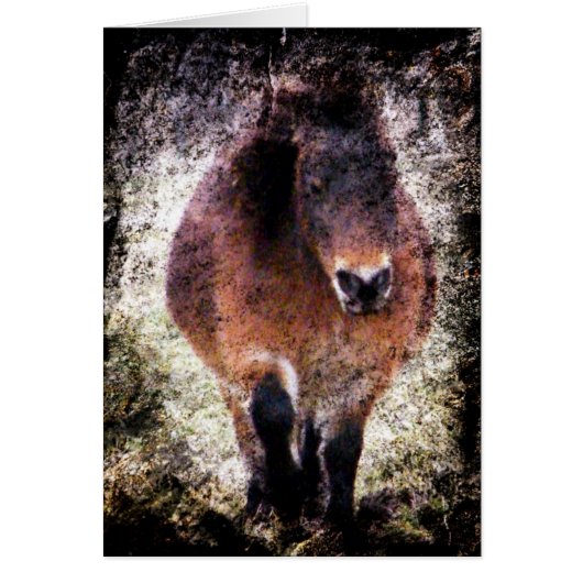 Mini Mare Grunge (Vorne)