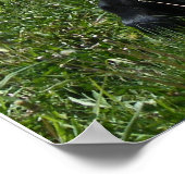 Mini-Moo Poster (Ecke)