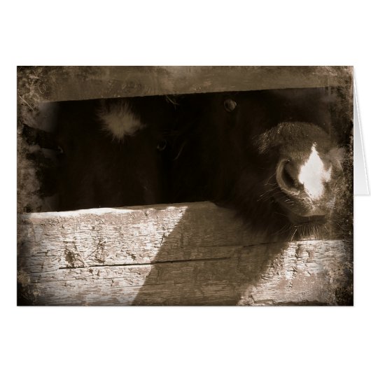 Mini-Nase über Gate (Vorderseite (Horizontal))