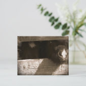 Mini-Nase über Gate Postkarte (Stehend Vorderseite)